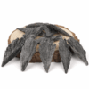 Black Kyanite Rough Stone | Guardian Stone for Energy Clearing and Stability