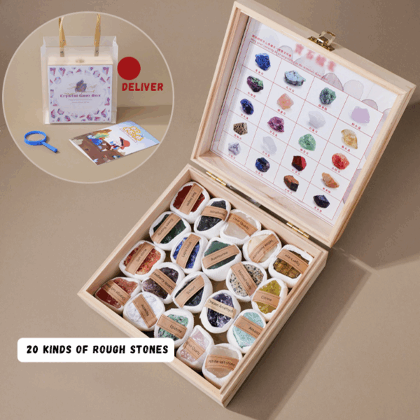 Energy Awakening — Raw Crystal Specimen Gift Set