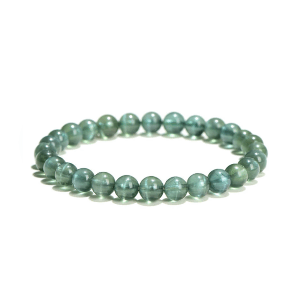 Verdant Vision Bracelet — green cat eye apatite bracelet