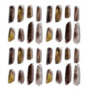 Smoky Quartz Raw Crystal——Grounding Energy & Natural Protection Stone